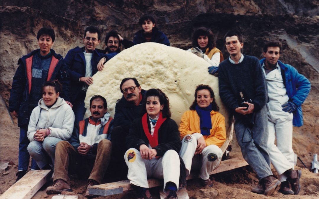 Coca-Villeguillo 1988