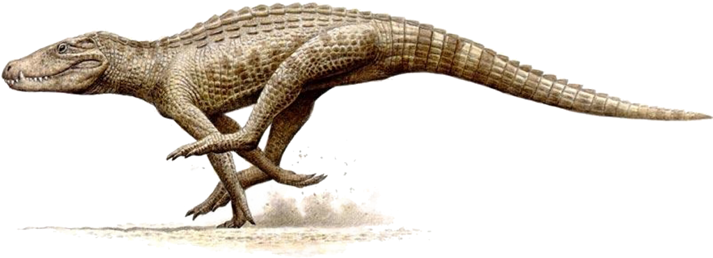 Iberosuchus-reconstruccion Raúl Martín